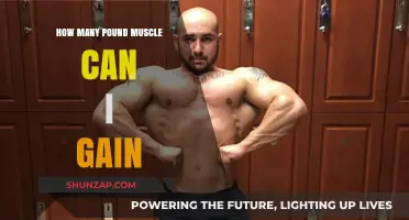Maximize Muscle Growth: How Much Can You Gain?