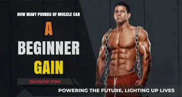 Unlocking Muscle Growth: Beginner's Guide to Building Strength and Size