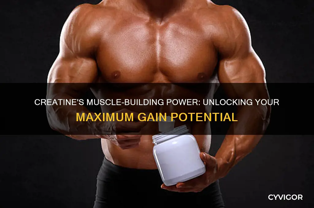 how many pounds of muscle can i gain from creatine