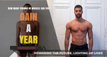 Maximize Muscle Growth: Realistic Annual Gains Explained