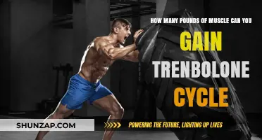 Maximizing Muscle Gains: Trenbolone Cycle Potential and Results