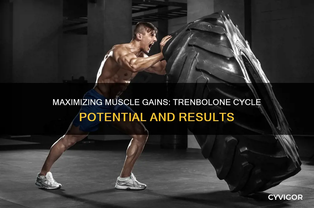 how many pounds of muscle can you gain trenbolone cycle