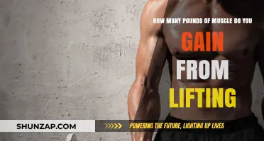 Building Muscle: Understanding Gains from Lifting Weights Effectively