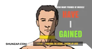 Tracking Muscle Gains: Measuring Your Pounds of Progress Effectively