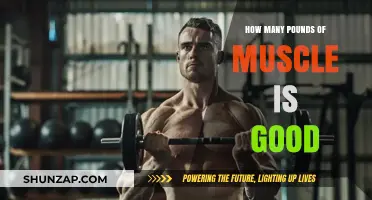 Optimal Muscle Gain: How Many Pounds of Muscle is Good?