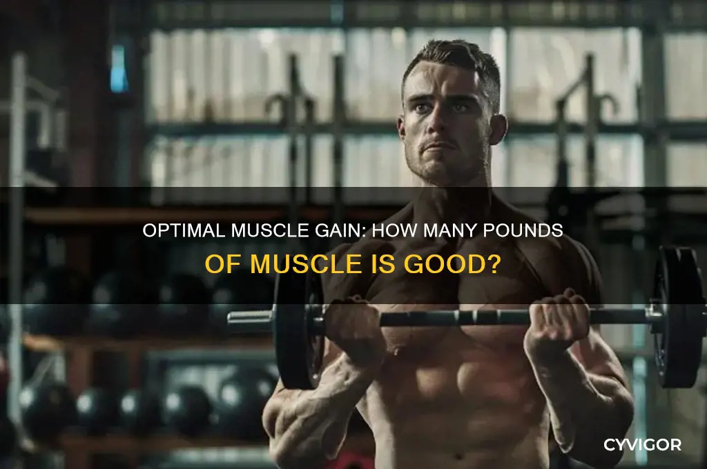 how many pounds of muscle is good