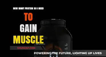 Optimal Protein Intake for Muscle Gain: A Comprehensive Guide
