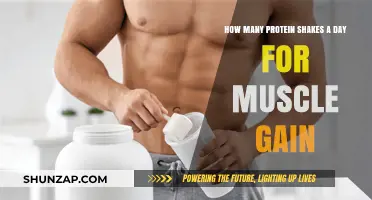 Optimal Protein Shake Intake for Effective Muscle Gain Strategies