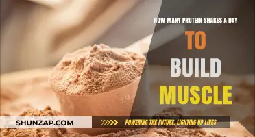 Fuel Your Gains: The Optimal Protein Shake Frequency for Muscle Building