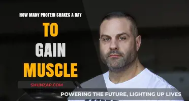 Optimal Protein Shake Intake for Effective Muscle Gain Strategies
