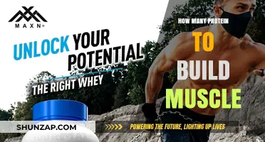 Unlocking Muscle Growth: The Essential Guide to Protein Intake