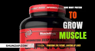 Optimal Protein Intake for Effective Muscle Growth and Strength