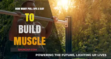 Daily Pull-Up Routine: Sculpting Strength and Muscle Definition