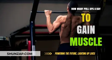 Daily Pull-Up Routine: Building Muscle with Consistent Reps