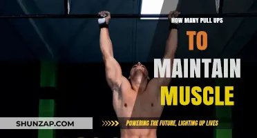 Optimal Pull-Up Routine for Sustaining Muscle Strength and Tone