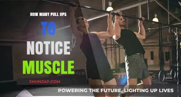 Pull-Up Progression: Reps Needed for Visible Muscle Growth