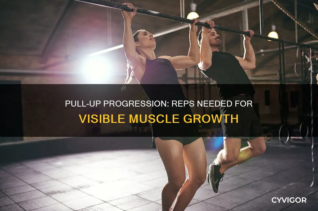 how many pull ups to notice muscle