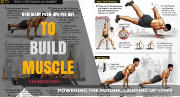 Daily Push-Up Routine: Sculpting Muscle with Consistency