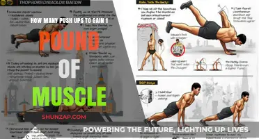 Push-Up Power: Building Muscle Mass One Pound at a Time