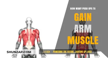 Effective Push-Up Strategies for Building Stronger, More Defined Arm Muscles