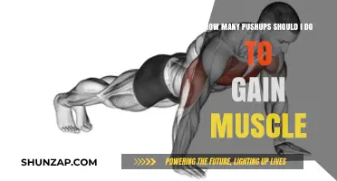 Effective Pushup Reps for Muscle Gain: Find Your Optimal Range