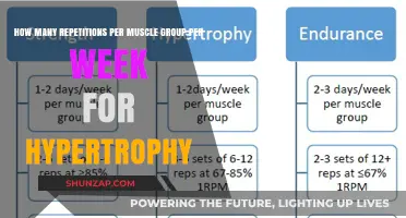 Optimal Reps Per Muscle Group Weekly for Maximum Hypertrophy Gains