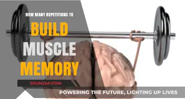 Unlocking Muscle Memory: The Optimal Repetition Range for Strength Training