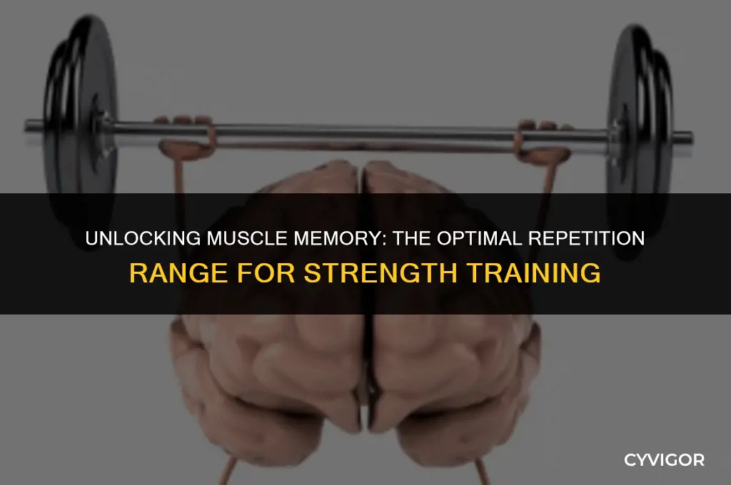 how many repetitions to build muscle memory