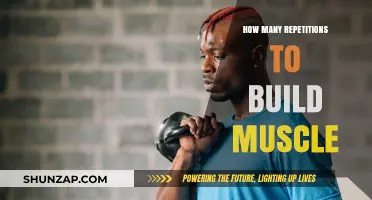 Unlocking Muscle Growth: The Optimal Repetition Range Revealed