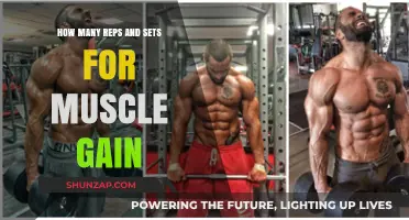 Optimal Reps and Sets for Effective Muscle Gain Strategies