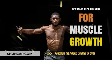Optimal Rep Ranges for Effective Muscle Growth and Strength
