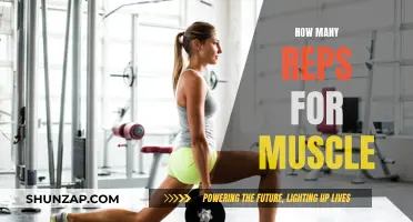 Building Muscle: The Optimal Rep Range for Growth