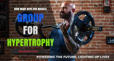 Optimal Rep Ranges for Muscle Growth: Hypertrophy Training Explained