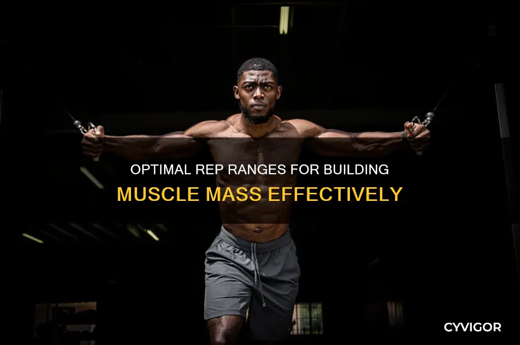 how many reps per muscle group for mass