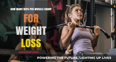 Effective Rep Ranges for Muscle Groups to Maximize Weight Loss