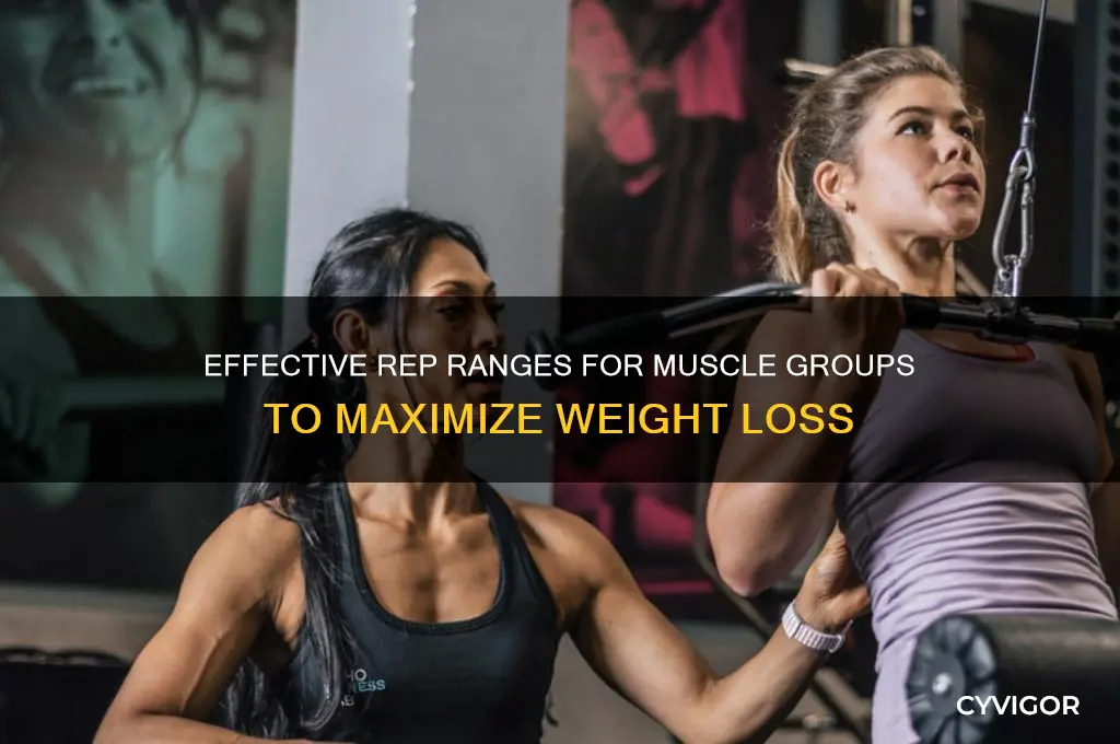 how many reps per muscle group for weight loss