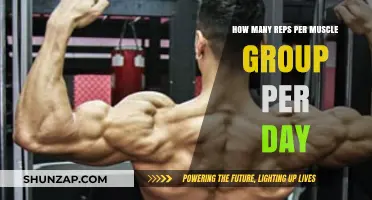 Optimal Reps Per Muscle Group: Daily Training Strategies for Growth