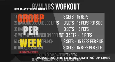Optimal Reps Per Muscle Group Weekly: Maximizing Growth and Strength