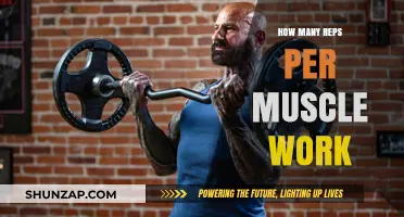 Optimal Rep Ranges for Muscle Growth: Finding Your Perfect Workout Balance