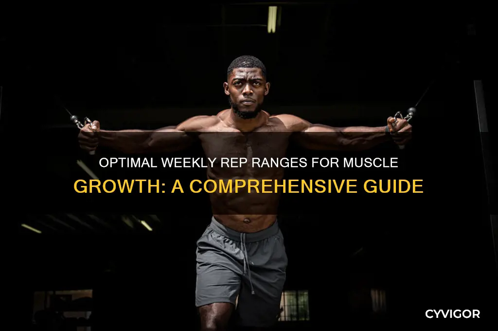 how many reps per week per muscle group ethier