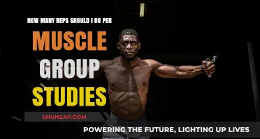 Optimal Rep Ranges for Muscle Growth: What Studies Reveal