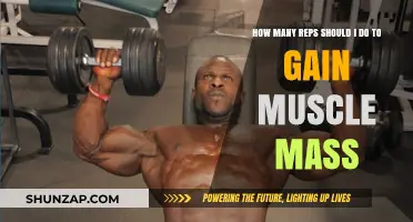 Maximize Muscle Growth: Optimal Rep Ranges for Mass Building