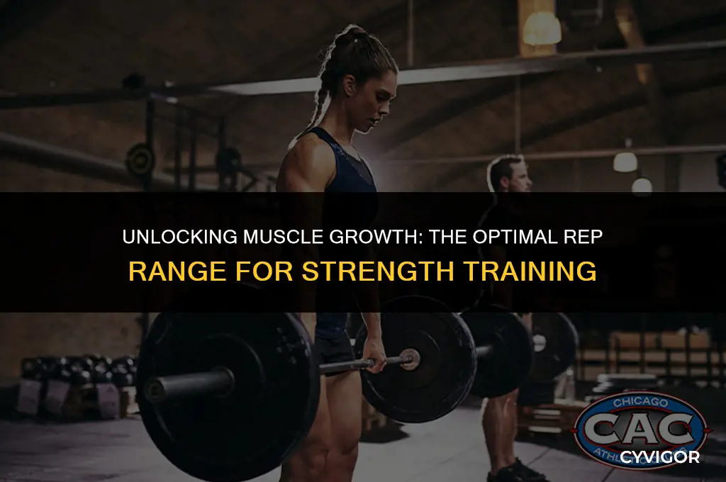 how many reps should you do to build muscle
