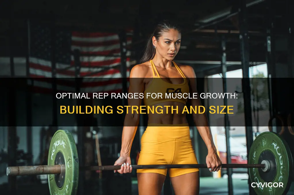 how many reps to gain muscle