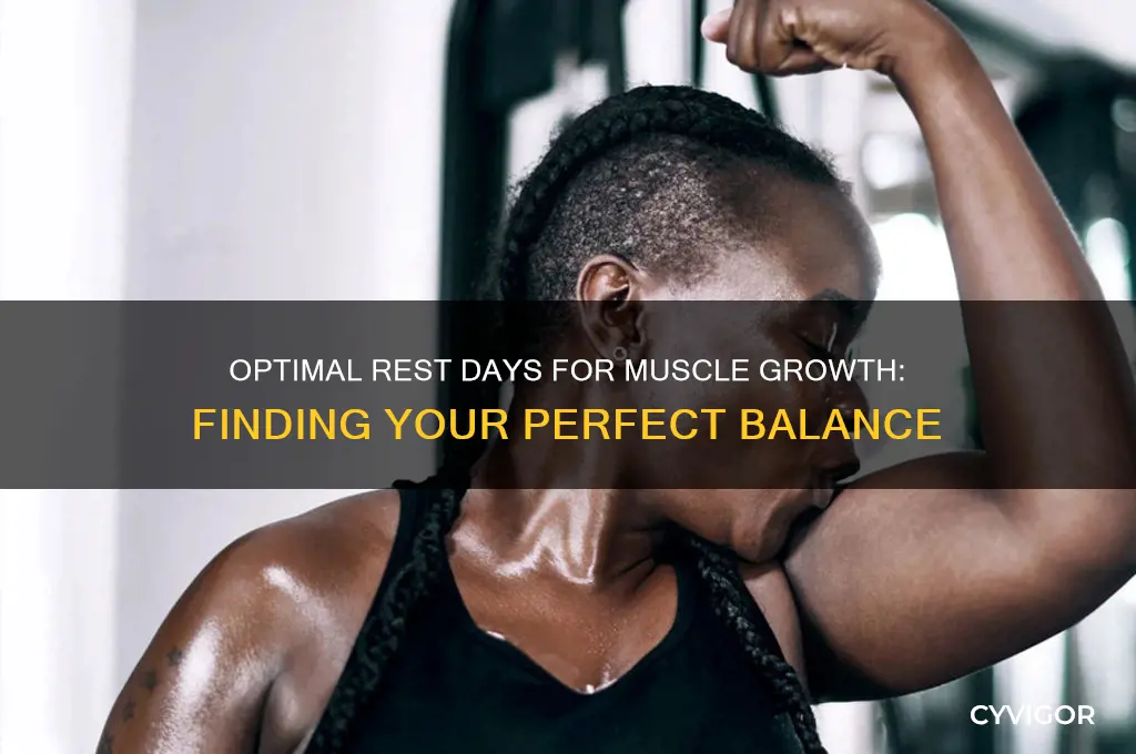how many rest days to gain muscle