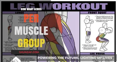 Optimal Series Per Muscle Group: Maximizing Growth and Recovery