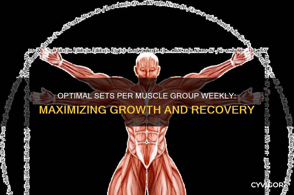 how many set per muscle group per week