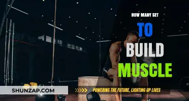 Unlocking Muscle Growth: The Optimal Number of Sets Revealed
