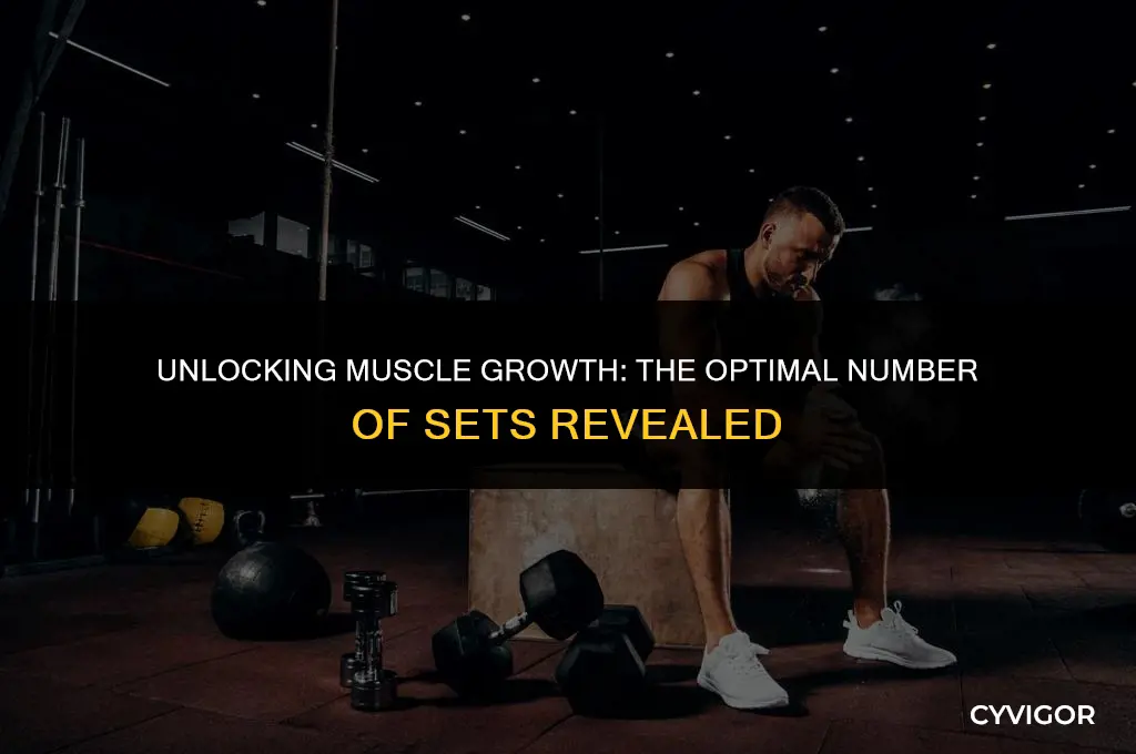 how many set to build muscle