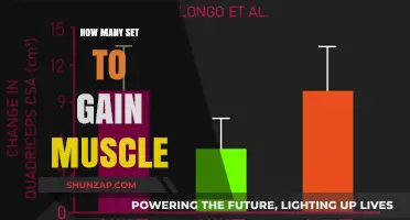 Effective Sets for Muscle Growth: Maximizing Gains in Your Workouts